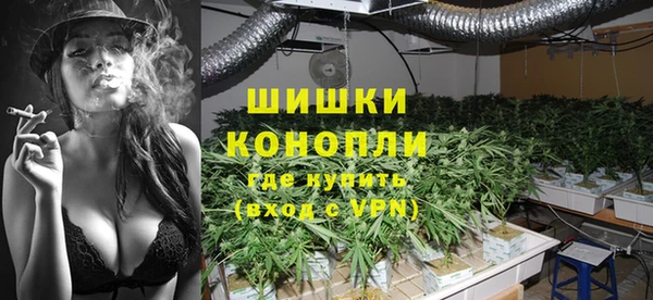твердый Алзамай