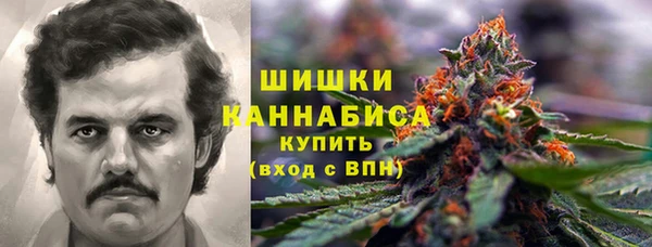 твердый Алзамай