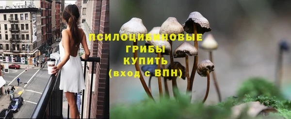 твердый Алзамай