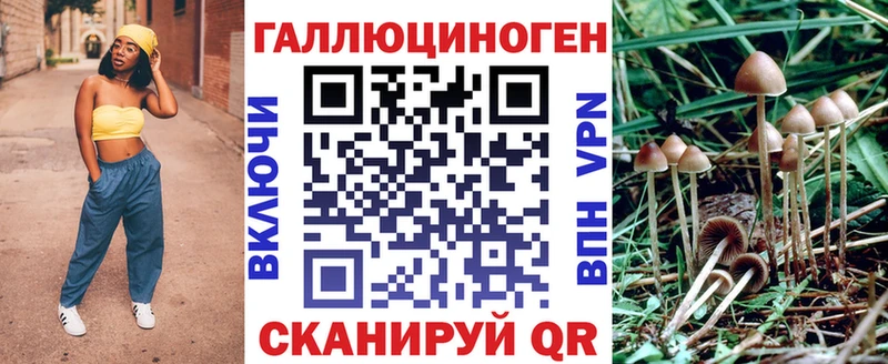 OMG ONION  Губкин  Галлюциногенные грибы мухоморы 